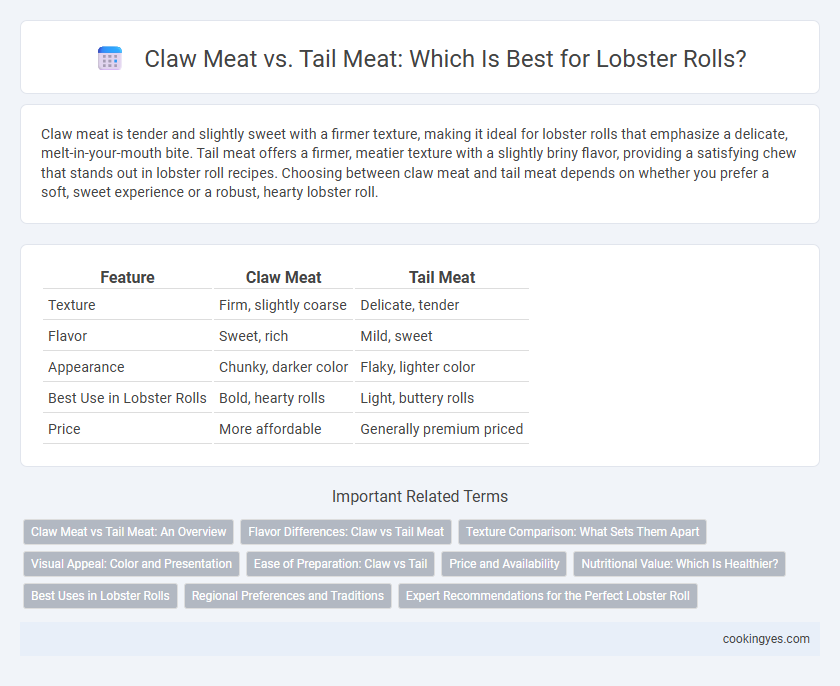 Claw Meat vs. Tail Meat: Which Is Best for Lobster Rolls?