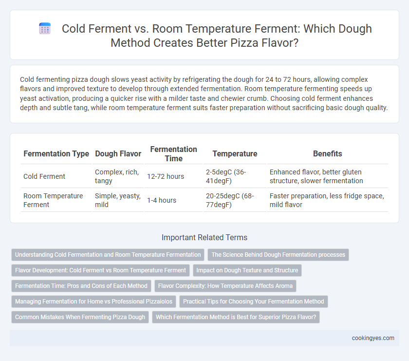 Cold Ferment vs. Room Temperature Ferment: Which Dough Method Creates Better Pizza Flavor?