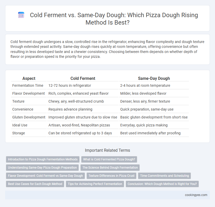Cold Ferment vs. Same-Day Dough: Which Pizza Dough Rising Method Is Best?