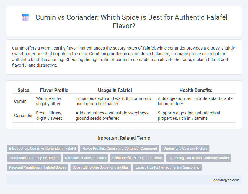 Cumin vs Coriander: Which Spice is Best for Authentic Falafel Flavor?