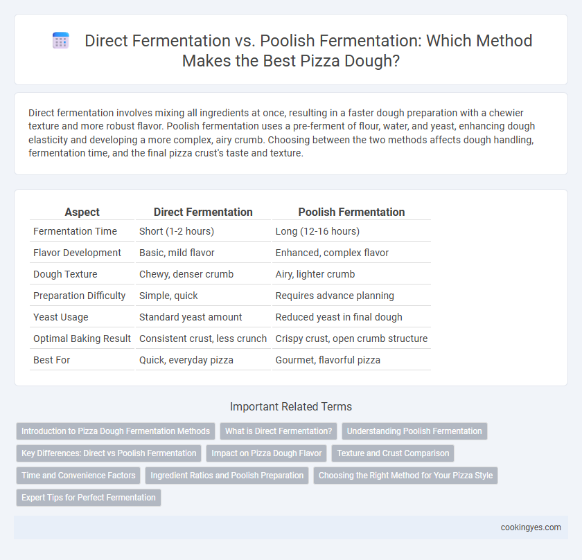 Direct Fermentation vs. Poolish Fermentation: Which Method Makes the Best Pizza Dough?