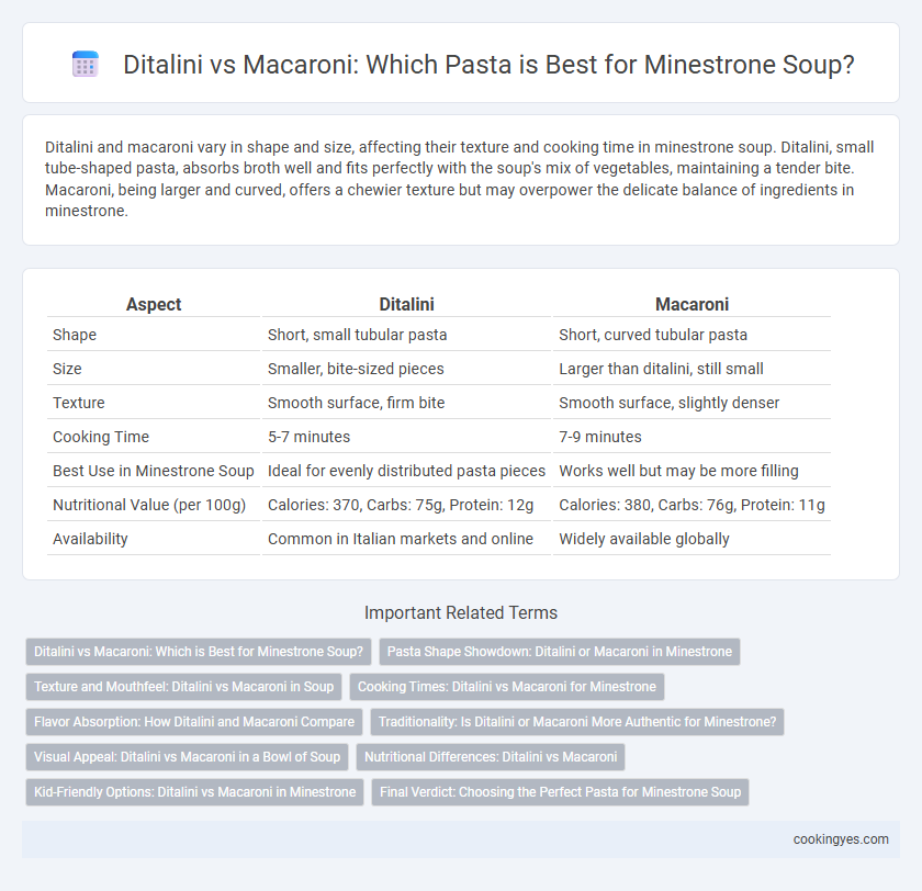 Ditalini vs Macaroni: Which Pasta is Best for Minestrone Soup?