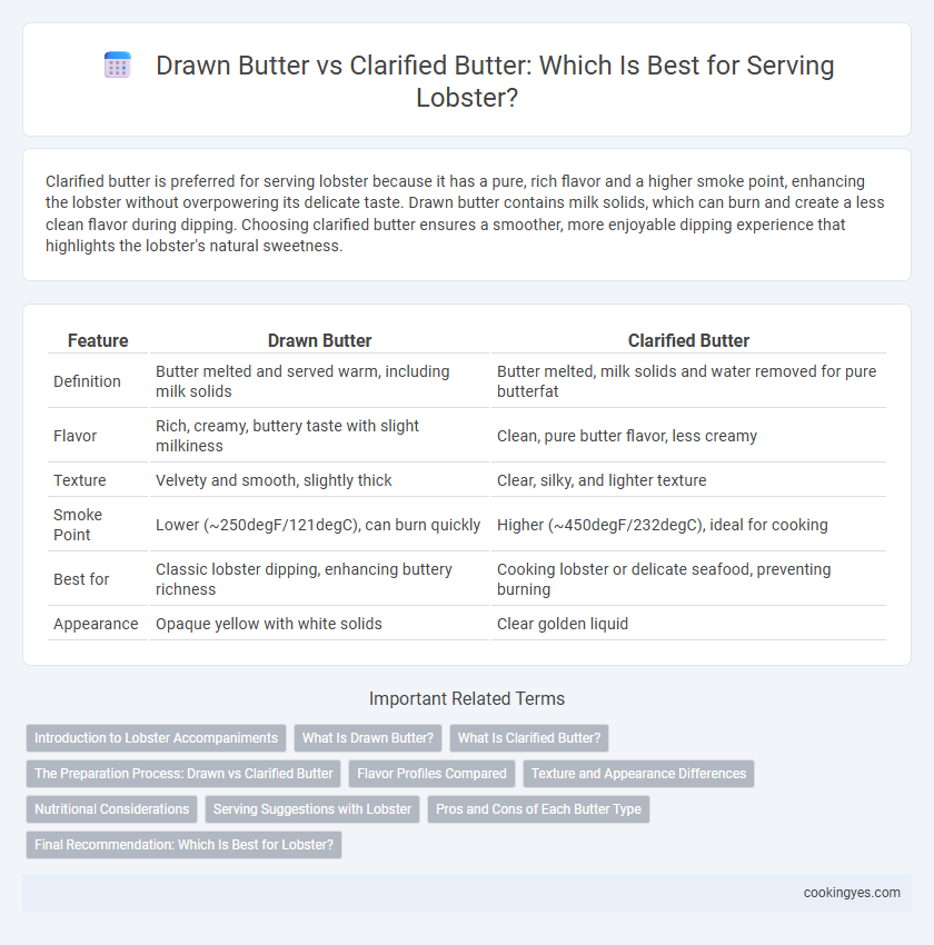 Drawn Butter vs Clarified Butter: Which Is Best for Serving Lobster?