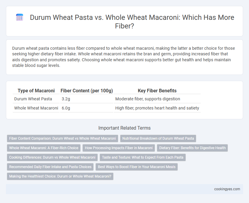 Durum Wheat Pasta vs. Whole Wheat Macaroni: Which Has More Fiber?