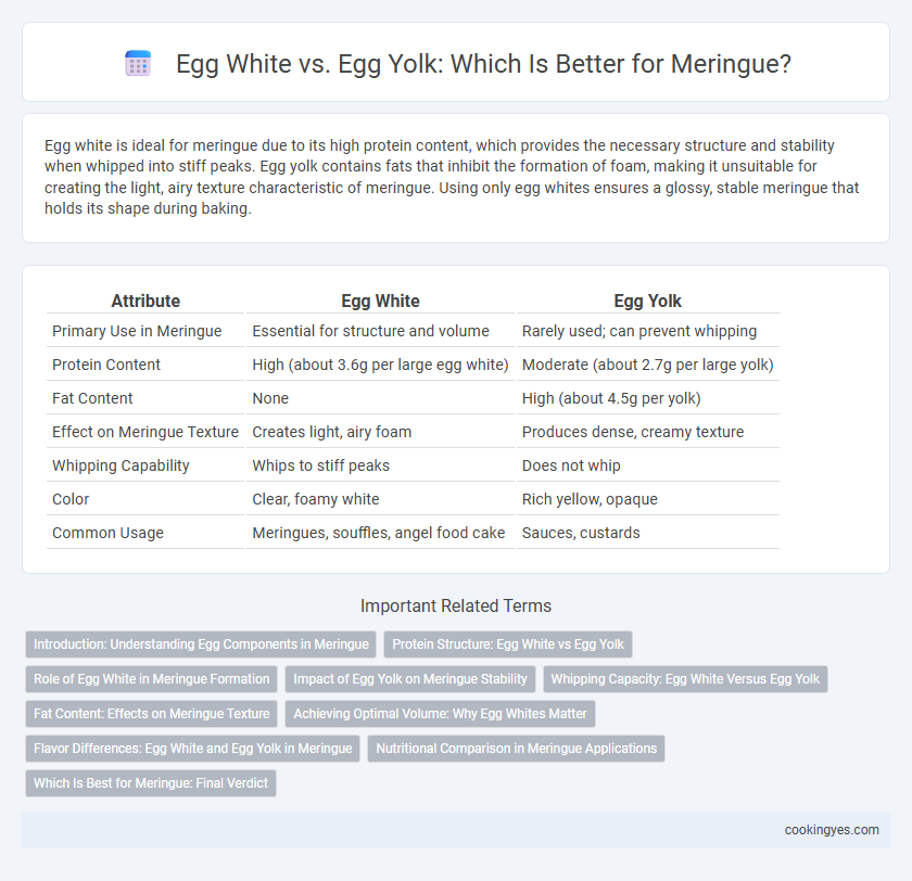 Egg White vs. Egg Yolk: Which Is Better for Meringue?