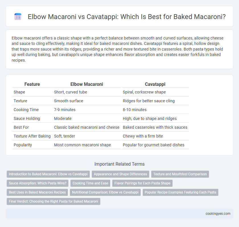 Elbow Macaroni vs Cavatappi: Which Is Best for Baked Macaroni?