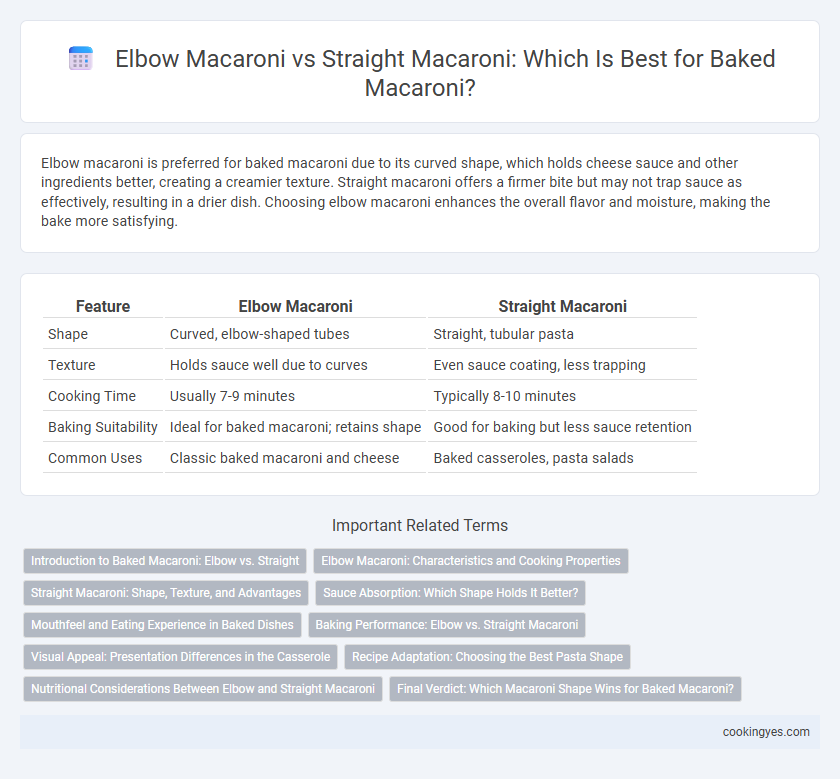 Elbow Macaroni vs Straight Macaroni: Which Is Best for Baked Macaroni?