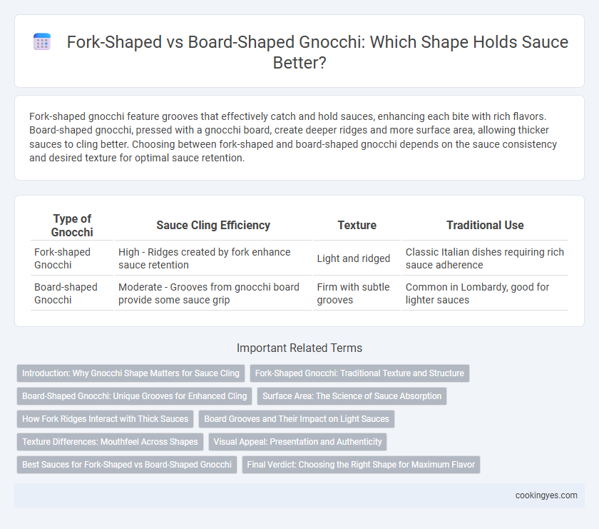 Fork-Shaped vs Board-Shaped Gnocchi: Which Shape Holds Sauce Better?