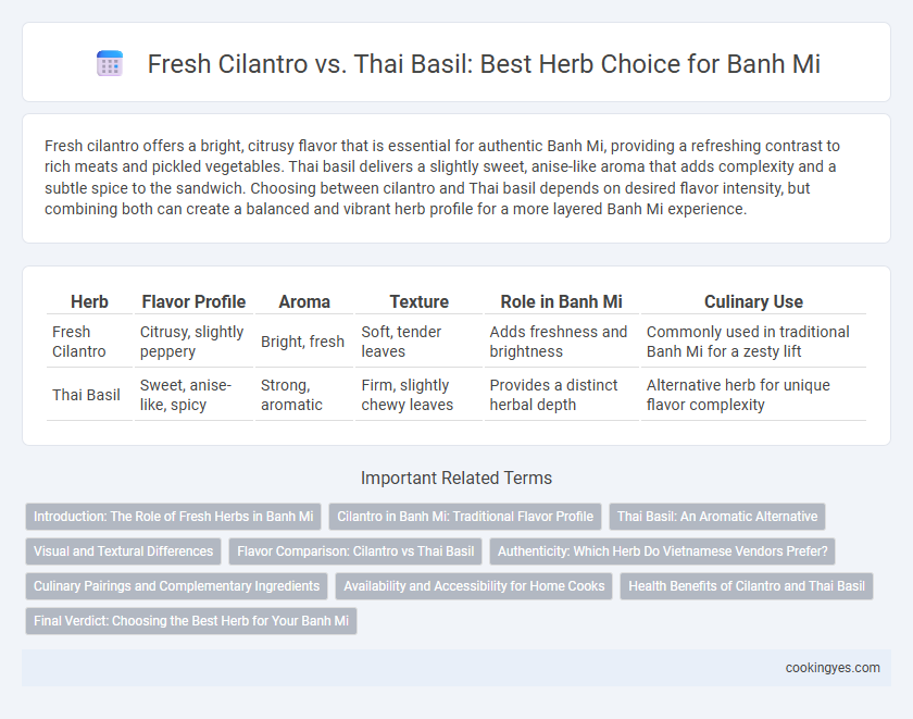 Fresh Cilantro vs. Thai Basil: Best Herb Choice for Banh Mi