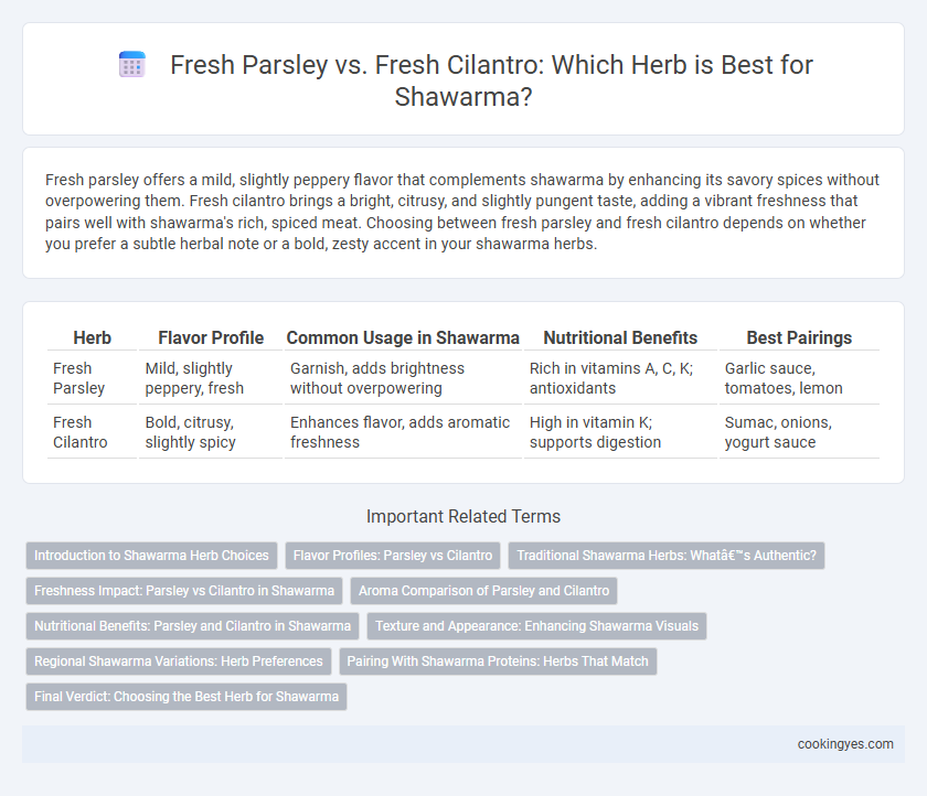 Fresh Parsley vs. Fresh Cilantro: Which Herb is Best for Shawarma?