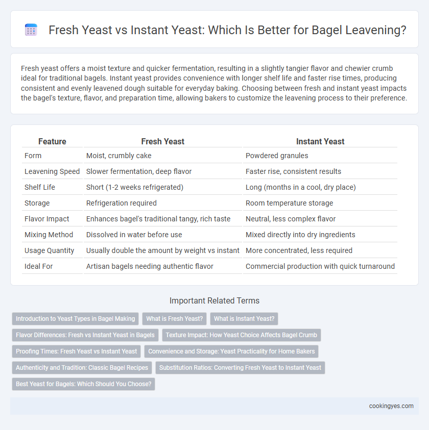 Fresh Yeast vs Instant Yeast: Which Is Better for Bagel Leavening?