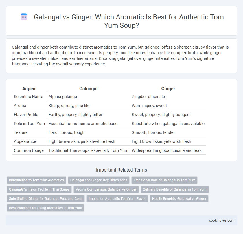Galangal vs Ginger: Which Aromatic Is Best for Authentic Tom Yum Soup?