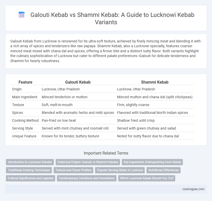 Galouti Kebab vs Shammi Kebab: A Guide to Lucknowi Kebab Variants
