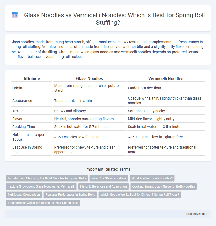 Glass Noodles vs Vermicelli Noodles: Which is Best for Spring Roll Stuffing?