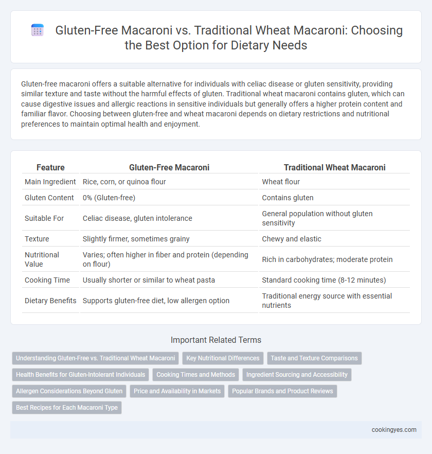 Gluten-Free Macaroni vs. Traditional Wheat Macaroni: Choosing the Best Option for Dietary Needs