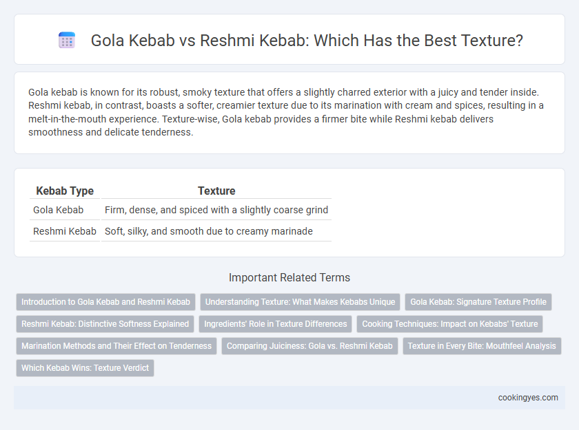 Gola Kebab vs Reshmi Kebab: Which Has the Best Texture?