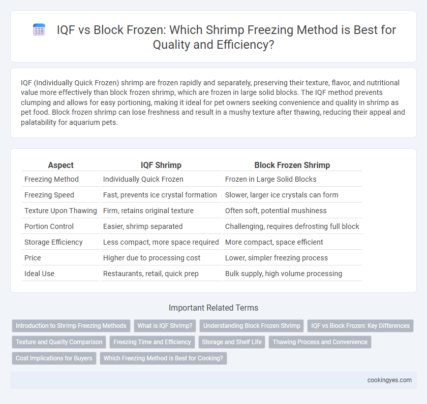 IQF vs Block Frozen: Which Shrimp Freezing Method is Best for Quality and Efficiency?