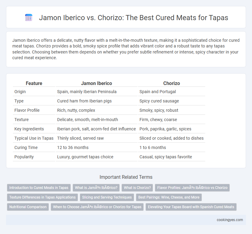 Jamon Iberico vs. Chorizo: The Best Cured Meats for Tapas