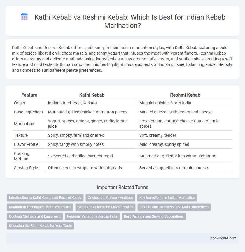 Kathi Kebab vs Reshmi Kebab: Which Is Best for Indian Kebab Marination?