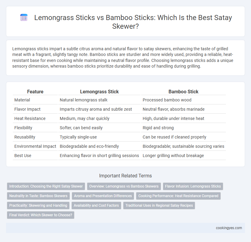 Lemongrass Sticks vs Bamboo Sticks: Which Is the Best Satay Skewer?