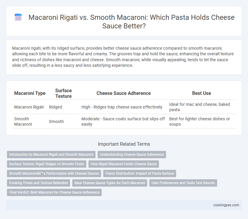 Macaroni Rigati vs. Smooth Macaroni: Which Pasta Holds Cheese Sauce Better?