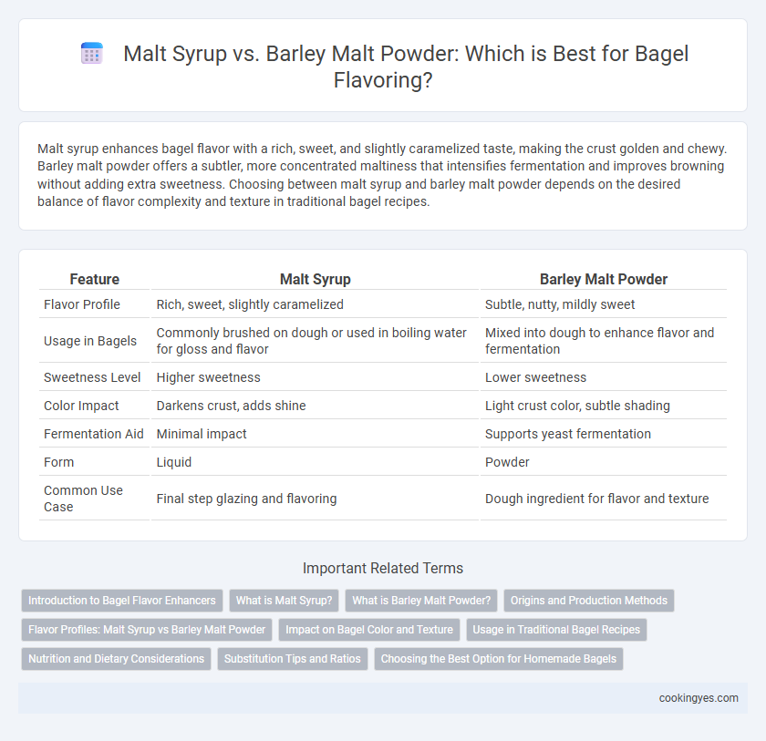 Malt Syrup vs. Barley Malt Powder: Which is Best for Bagel Flavoring?