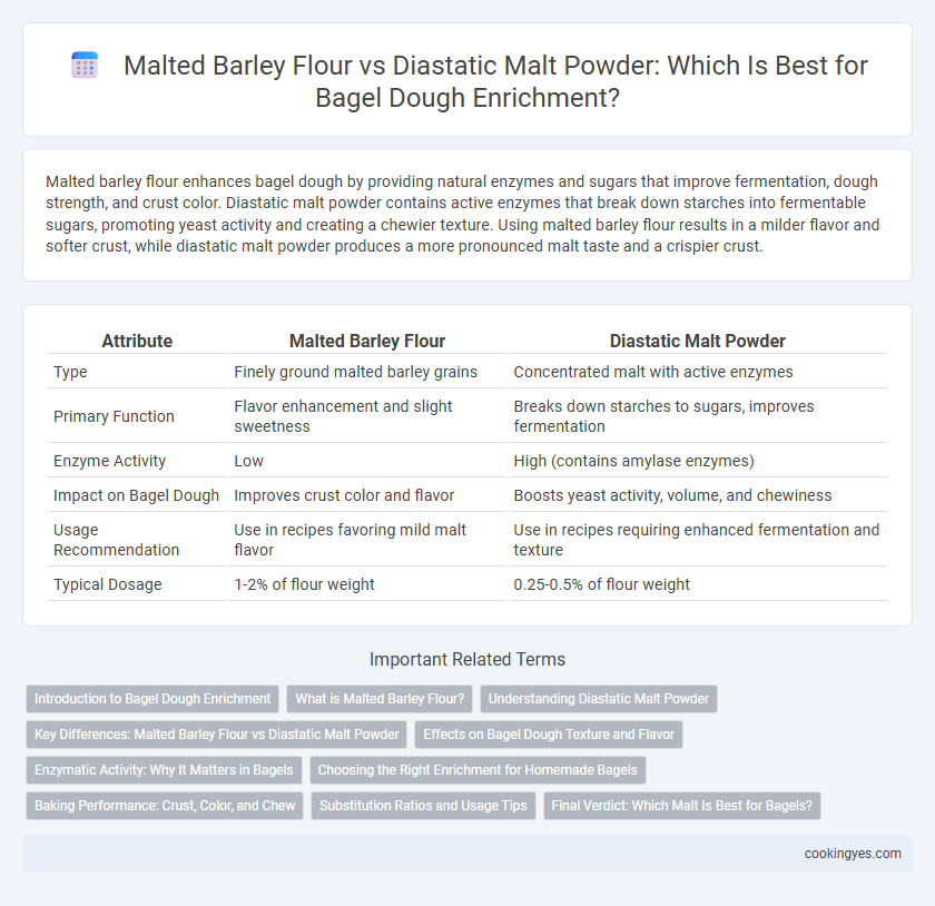 Malted Barley Flour vs Diastatic Malt Powder: Which Is Best for Bagel Dough Enrichment?