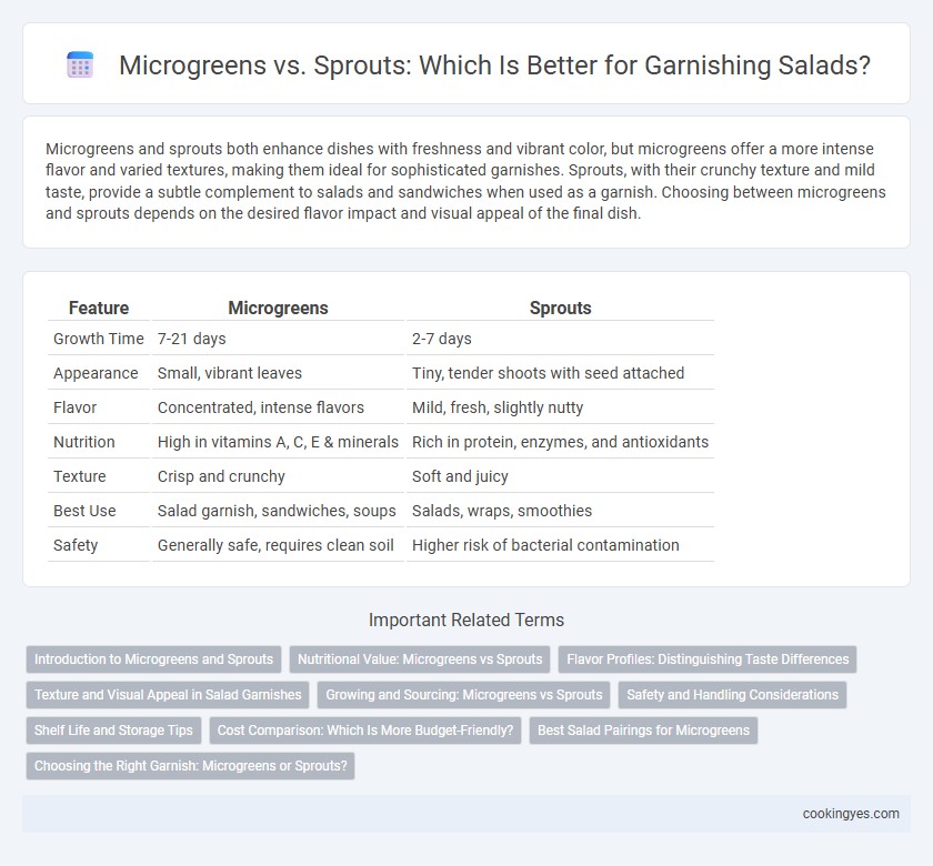 Microgreens vs. Sprouts: Which Is Better for Garnishing Salads?