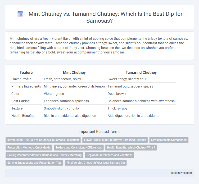 Mint Chutney vs. Tamarind Chutney: Which Is the Best Dip for Samosas?