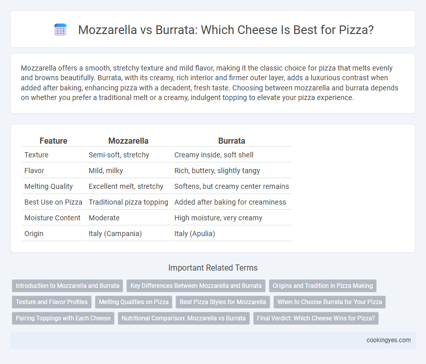 Mozzarella vs Burrata: Which Cheese Is Best for Pizza?