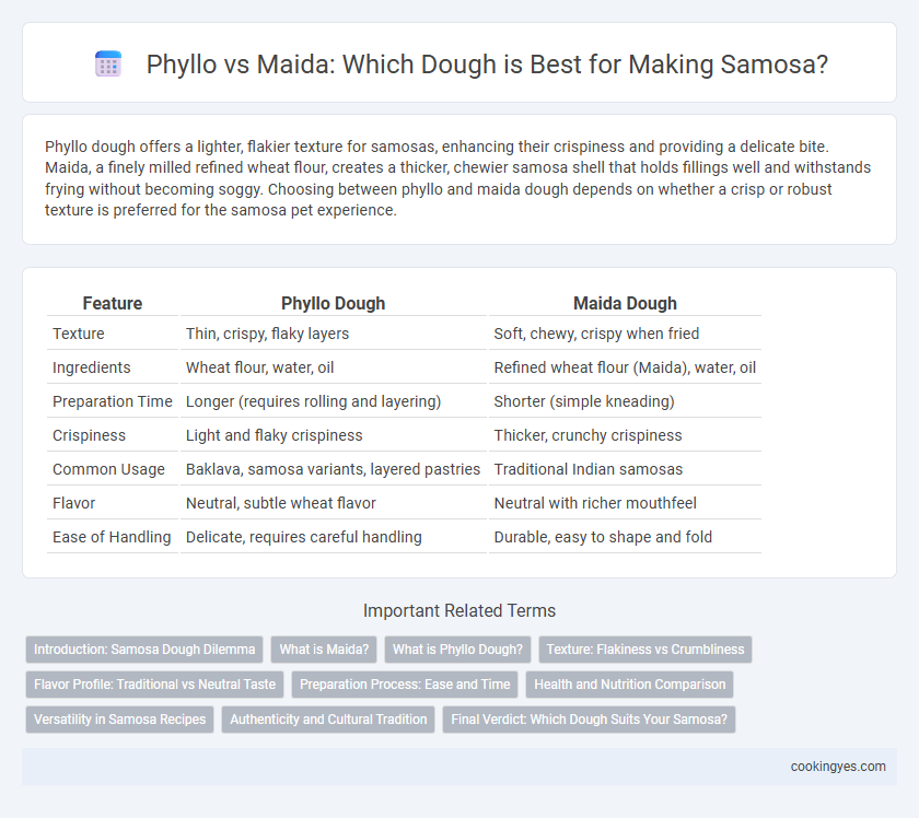 Phyllo vs Maida: Which Dough is Best for Making Samosa?