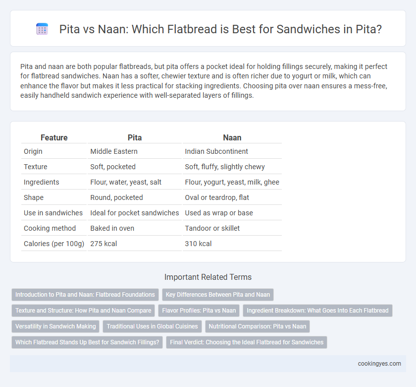 Pita vs Naan: Which Flatbread is Best for Sandwiches in Pita?