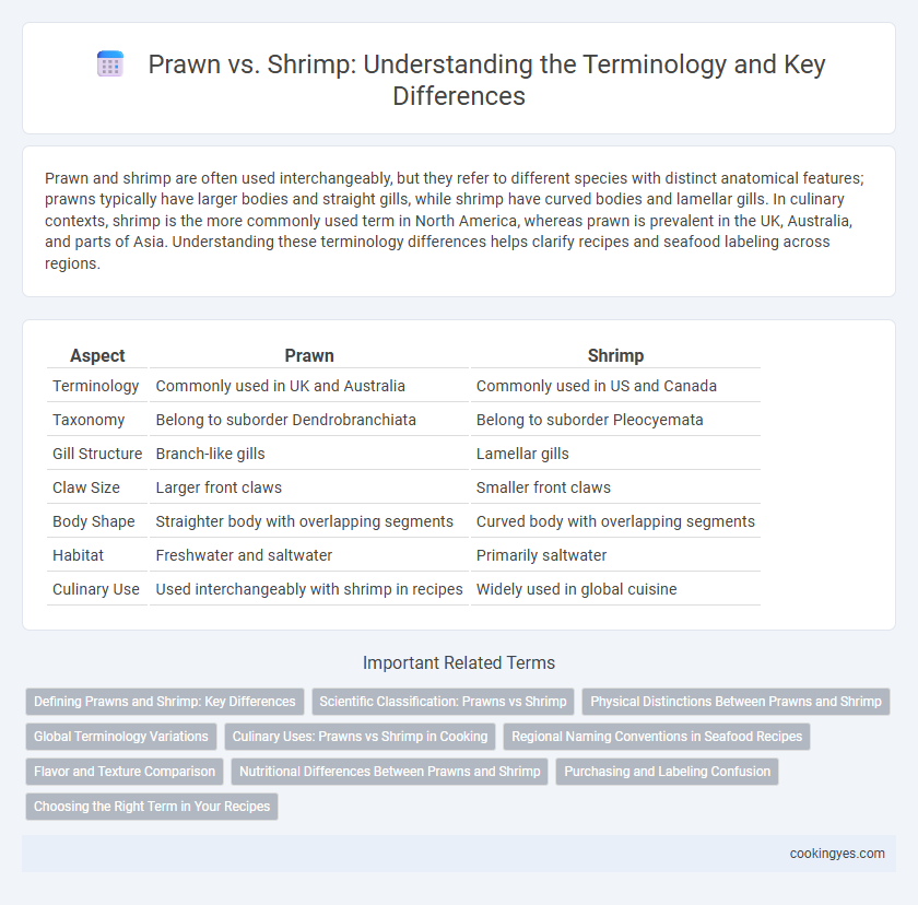 Prawn vs. Shrimp: Understanding the Terminology and Key Differences