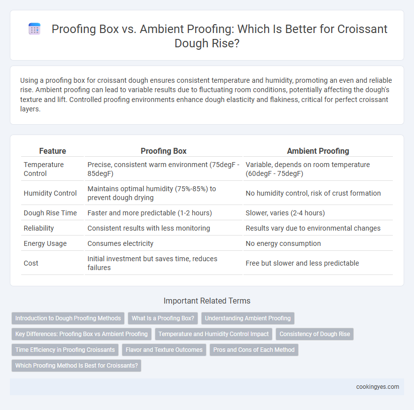 Proofing Box vs. Ambient Proofing: Which Is Better for Croissant Dough Rise?