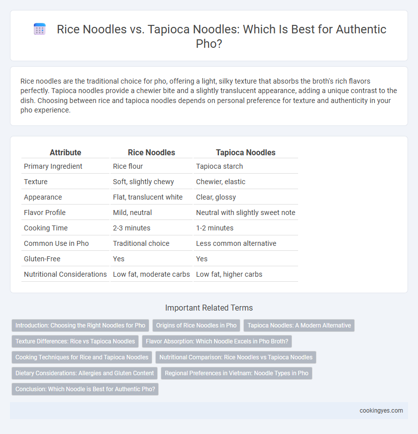 Rice Noodles vs. Tapioca Noodles: Which Is Best for Authentic Pho?