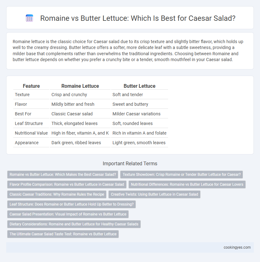 Romaine vs Butter Lettuce: Which Is Best for Caesar Salad?