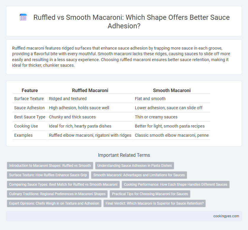 Ruffled vs Smooth Macaroni: Which Shape Offers Better Sauce Adhesion?