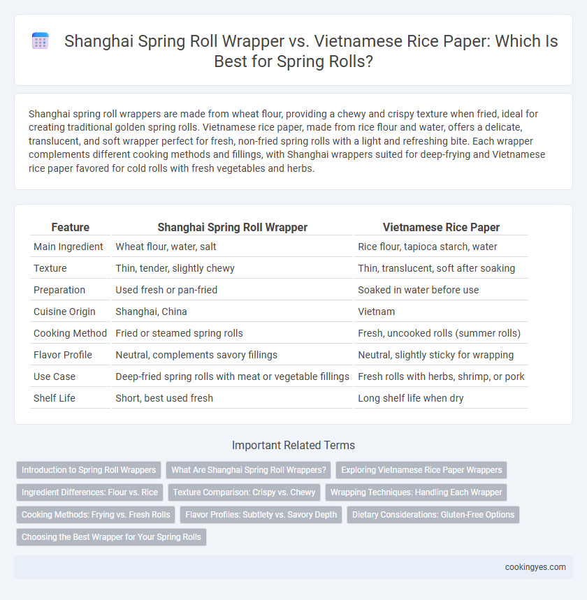 Shanghai Spring Roll Wrapper vs. Vietnamese Rice Paper: Which Is Best for Spring Rolls?