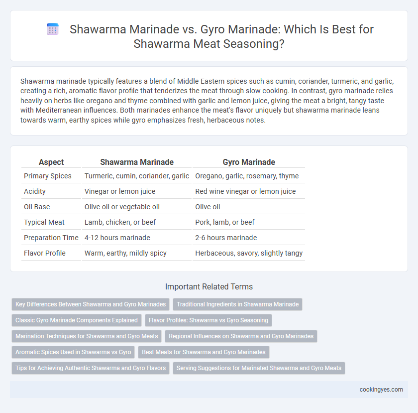 Shawarma Marinade vs. Gyro Marinade: Which Is Best for Shawarma Meat Seasoning?