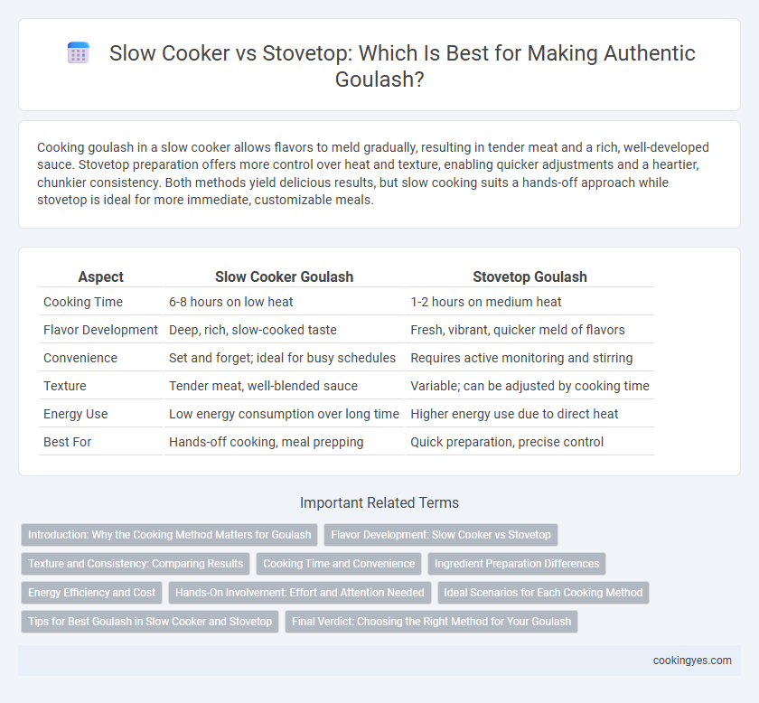 Slow Cooker vs Stovetop: Which Is Best for Making Authentic Goulash?