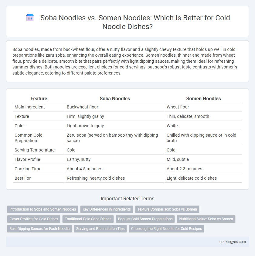 Soba Noodles vs. Somen Noodles: Which Is Better for Cold Noodle Dishes?