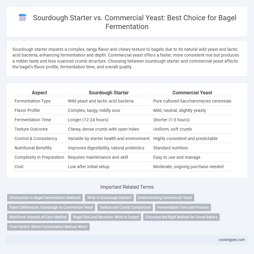 Sourdough Starter vs. Commercial Yeast: Best Choice for Bagel Fermentation