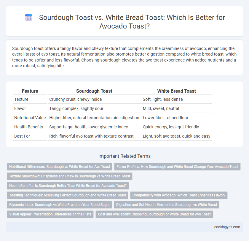 Sourdough Toast vs. White Bread Toast: Which Is Better for Avocado Toast?