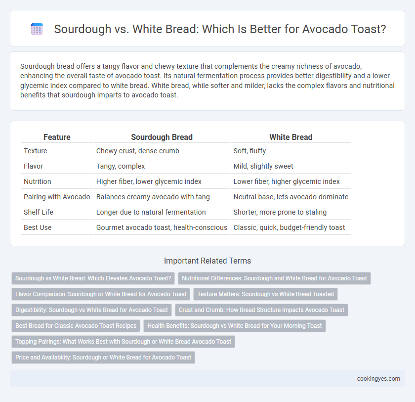 Sourdough vs. White Bread: Which Is Better for Avocado Toast?