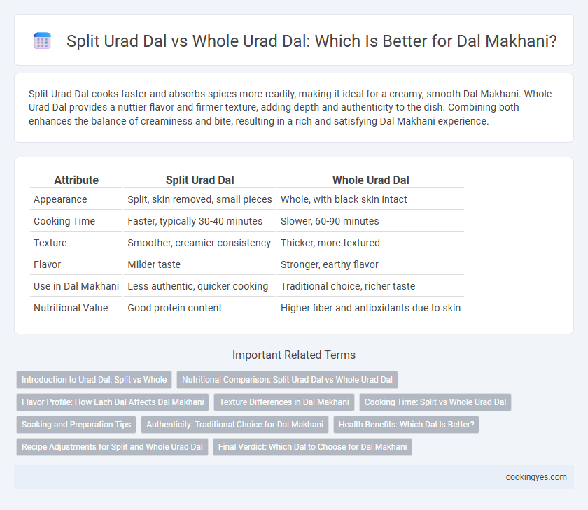 Split Urad Dal vs Whole Urad Dal: Which Is Better for Dal Makhani?