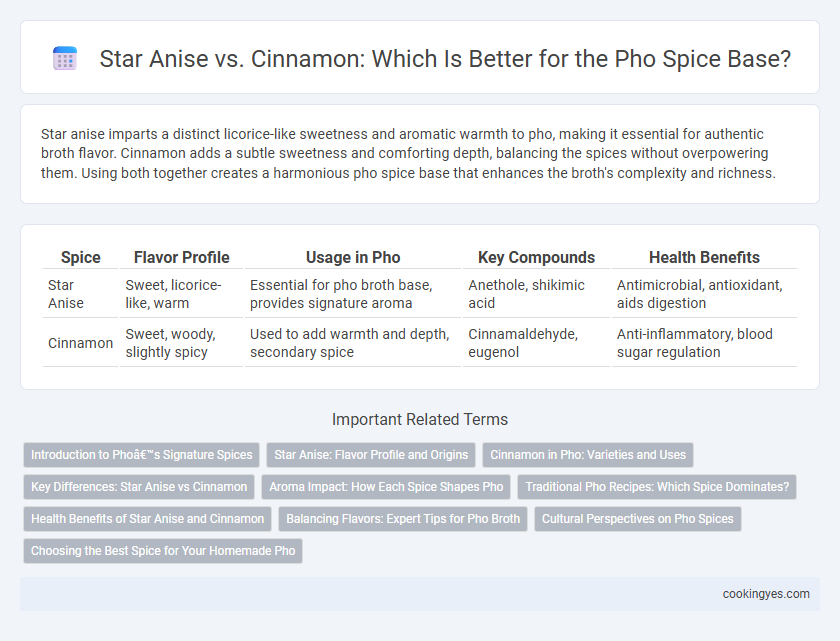 Star Anise vs. Cinnamon: Which Is Better for the Pho Spice Base?