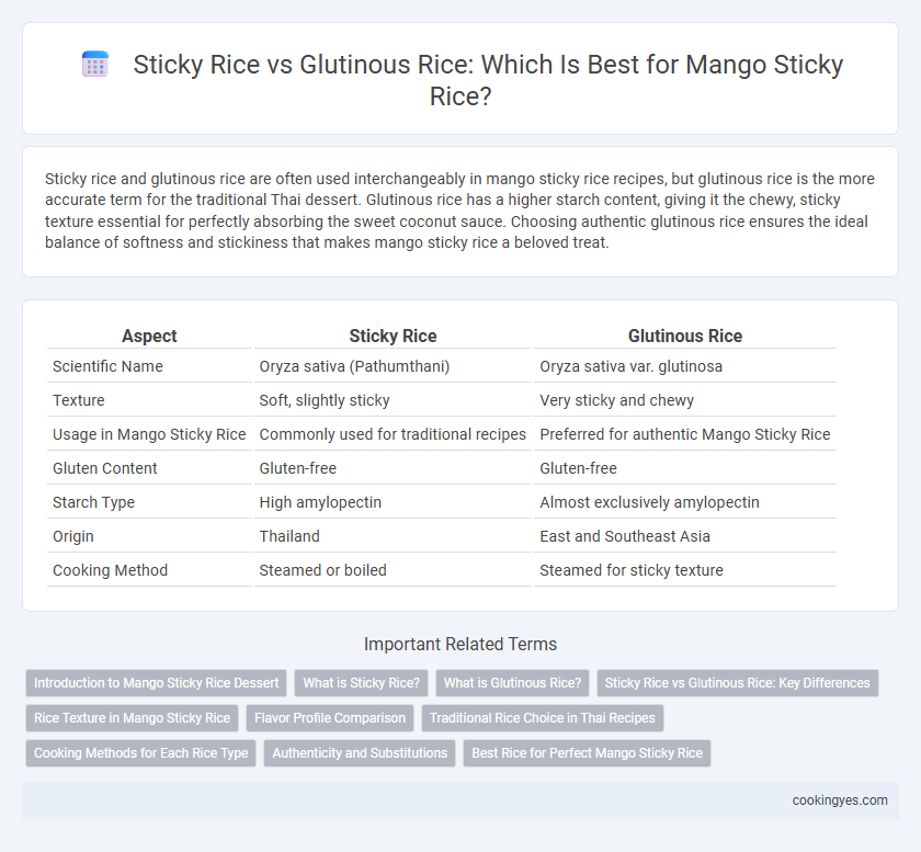 Sticky Rice vs Glutinous Rice: Which Is Best for Mango Sticky Rice?