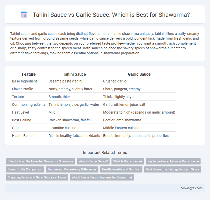 Tahini Sauce vs Garlic Sauce: Which is Best for Shawarma?