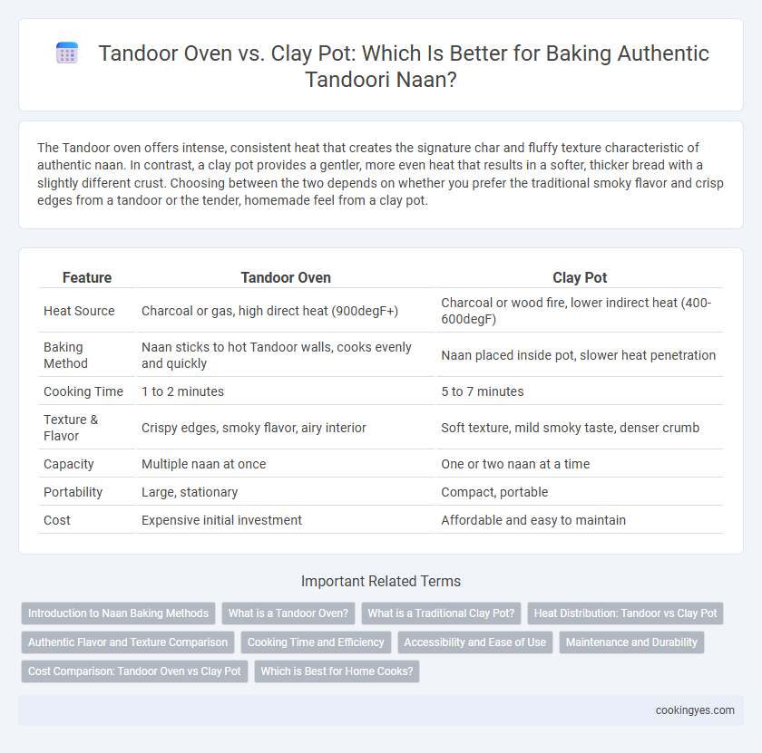 Tandoor Oven vs. Clay Pot: Which Is Better for Baking Authentic Tandoori Naan?