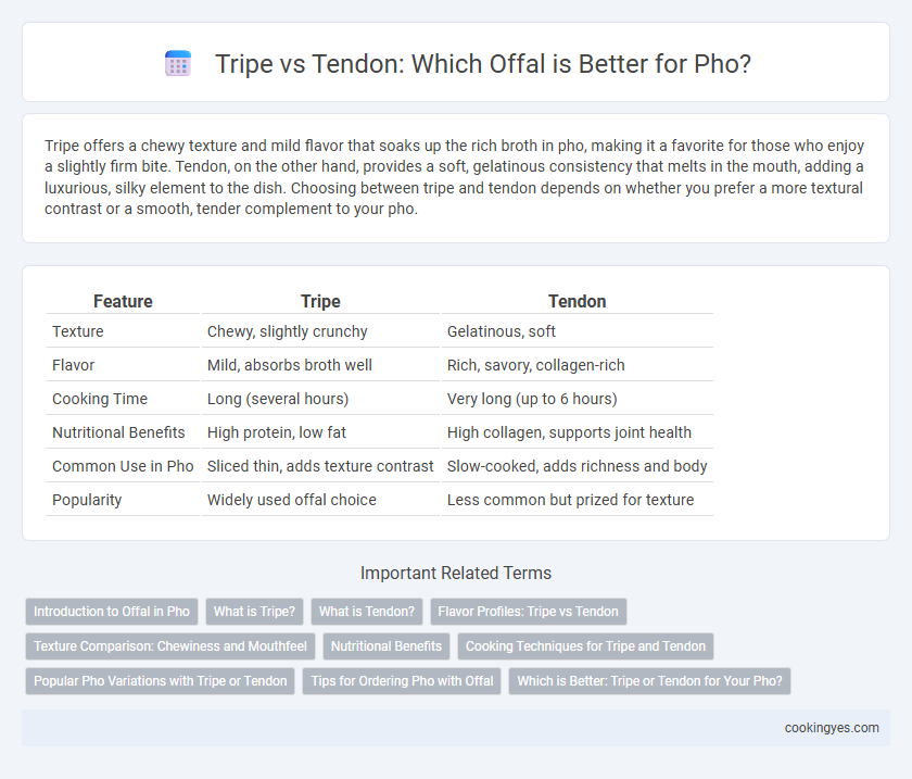 Tripe vs Tendon: Which Offal is Better for Pho?